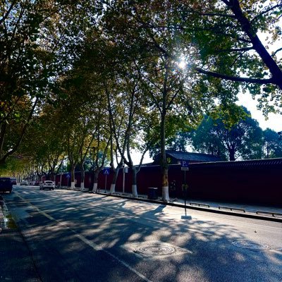 fengliu04997451's profile picture. 