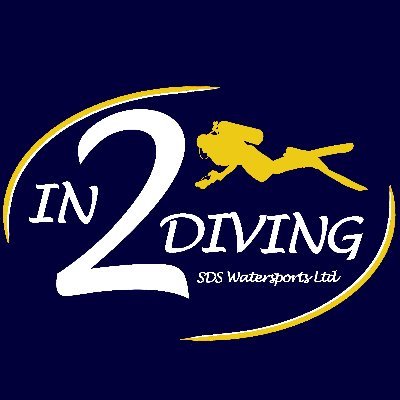 In 2 Diving