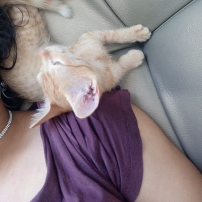 Hannako21's profile picture. 