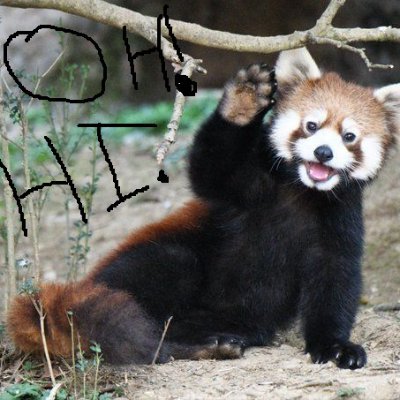 dominopheonix's profile picture. 