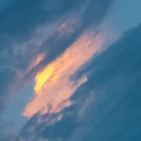 Jackie Gusikowski (@gusikowski62555) 's Twitter Profile