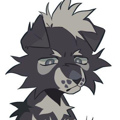 Finn 🪶さんのプロフィール画像