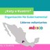 Líderes Voluntarios México (@ongkok_mx) Twitter profile photo