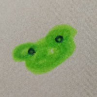 サカキバラ (@vb17_jp002) 's Twitter Profile Photo