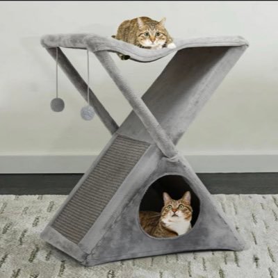 WarDepartment99's profile picture. Professional Cat Trainer, Ruffled Feathers’ CO 🪶, #CapitalismWorks