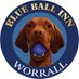 BlueBallWorrall (@BallWorrall) Twitter profile photo