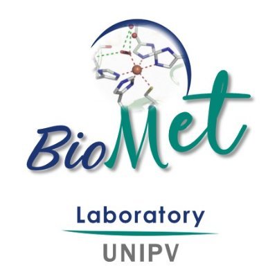 Metals in Biological systems | @Unipv
BioMet_Lab studies the role of metal ions in neurodegenerative diseases and develops novel bioinspired metallo-systems.