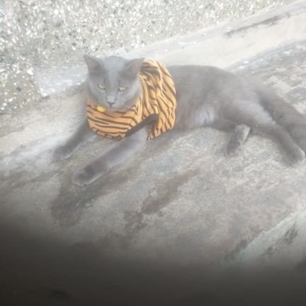 yunisar06505607's profile picture. 