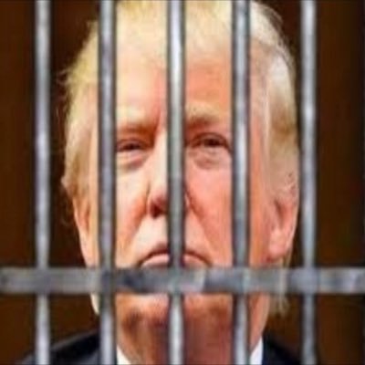 Imprison TRump now! PS: Lock. Him. Up. It’s gonna be wild!