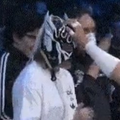 Masked Wrestling Crowd NPC