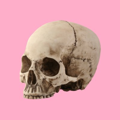 esqueletosgays Profile Picture