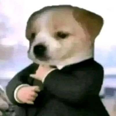 SmallDaTa1337's profile picture. Small Data is more spicy that BigData