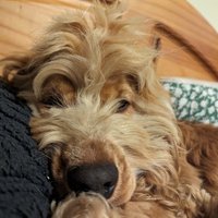 🅢🅤🅔 (@suejgibson) 's Twitter Profile Photo 🅢🅤🅔 (@suejgibson) 's Twitter Profile Photo