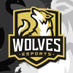 @wolves_esports