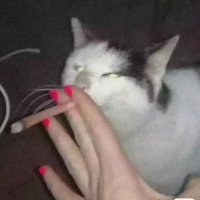 ydhfghh (@ydhfghh158610xx) 's Twitter Profile Photo