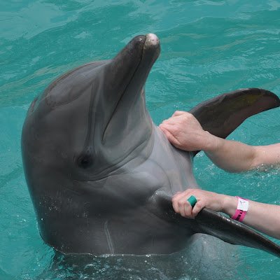 Jane69412933216's profile picture. 