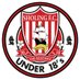 Sholing FC U18's (@SholingFCU18s) Twitter profile photo
