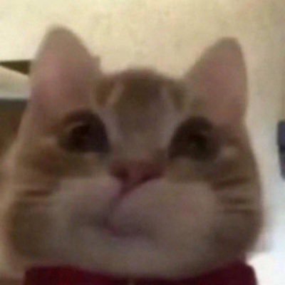 dkfangav's profile picture. normal cool guy that everyone likes and no one hates