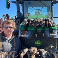 Robert Stephens (@robertpstephens) 's Twitter Profile
