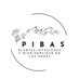 PIBAs (@labPIBAs) Twitter profile photo