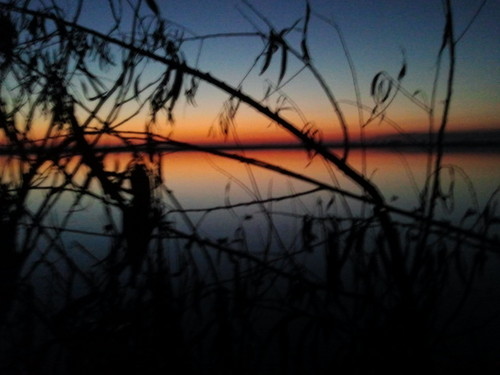 AlanBoothe's profile picture. 