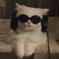 دولا🤍 (@dal_00009) 's Twitter Profile