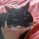 James Bown - @BIGKEVandCATTY - Twitter