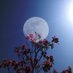 Annie 🌕 Profile picture