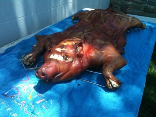 oldmanschehrer's profile picture. 