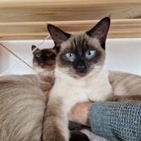 FEE1 (@alexand56161797) 's Twitter Profile