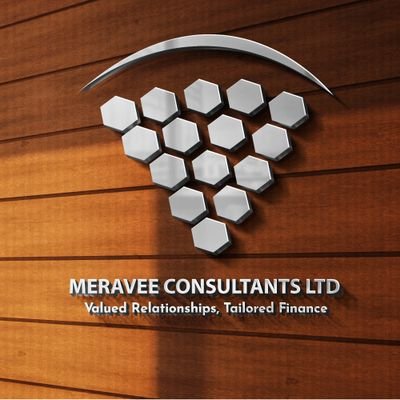 MeraveeL's profile picture. Business trainings & Financial literacy.