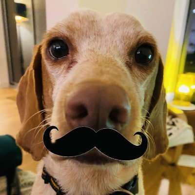 SarahinIlkley's profile picture. Lives in Ilkley. Works in Leeds. LOVES Twitter. Now on Bluesky for the good stuff https://t.co/CAMmGSwTaW