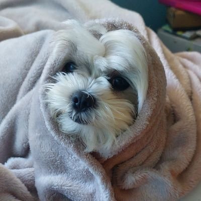 audrii_14's profile picture. 