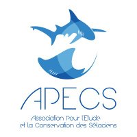 Association APECS(@AssoAPECS) 's Twitter Profile Photo