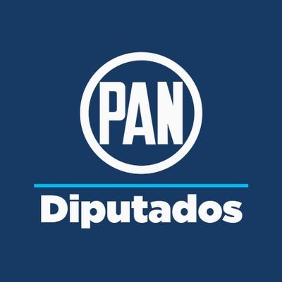 Somos tus Diputados Locales del #PAN en Nuevo León @PANNLMX LXXVII Legislatura @CongresoNL