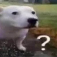 Samantha Boehm (@boehm_sama44229) 's Twitter Profile