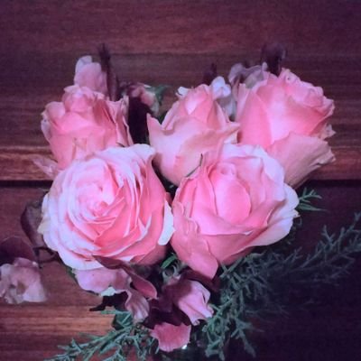 LS 35th YEARということでメンバーに見立てたお花をプロフィール画像にしてみました(セレブという品種の薔薇です)

ヘッダー画像は足立絵美さんの大好きな作品chapotopiaより🥰