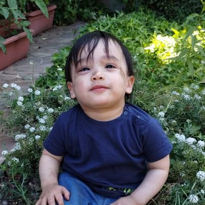 Munoz_AleM's profile picture. 