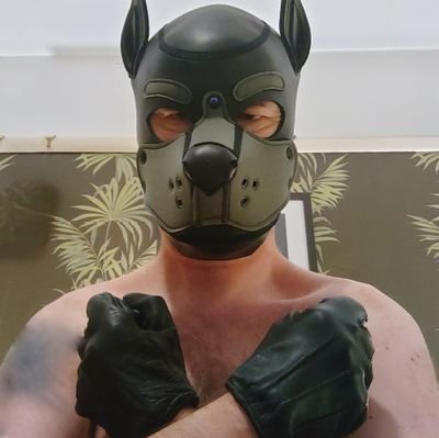Alpha Pup Scar
Tattooed Dom Top Dog wruff!
Based in East Midlands, DM's are open.
Bring on the pups! 🐾
Level 49 achieved