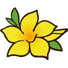 parlorallamanda Profile Picture