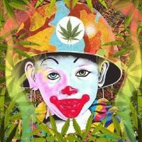 The Shanchez 420 (@the_shanchez) 's Twitter Profile