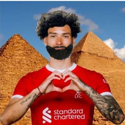 steh287's profile picture. 