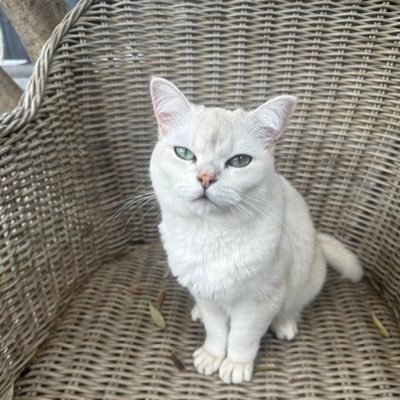 TConcaig60754's profile picture. 