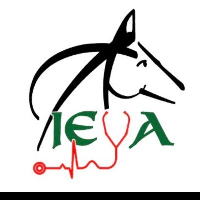 Irish Equine Veterinary Association