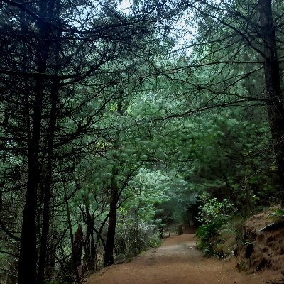 Vecinos de MagdalenaContreras defendiendo el bosque y el único río vivo de la CdMx💚🌱🌿