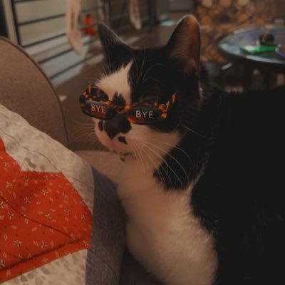 saraaasmith_'s profile picture. 