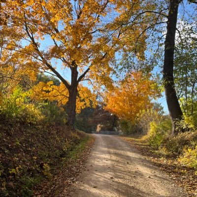 Jesse_Syl's profile picture. 