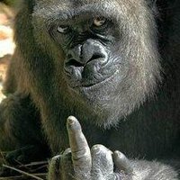 Rob H ๐๐ด๓ ง๓ ข๓ ท๓ ฌ๓ ณ๓ ฟ (@roberth6928) 's Twitter Profile Photo Rob H ๐๐ด๓ ง๓ ข๓ ท๓ ฌ๓ ณ๓ ฟ (@roberth6928) 's Twitter Profile Photo