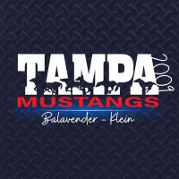 Tampa Mustangs Balavender-Klein(@MustangsBK2009) 's Twitter Profile Photo