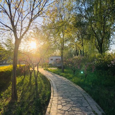 manjuna58209422's profile picture.